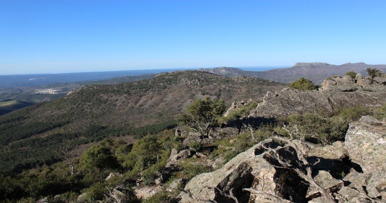 El saetón de Sierra Morena