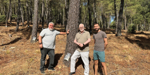 Impulso del aprovechamiento de resina en los montes de Fuencaliente para fijar población