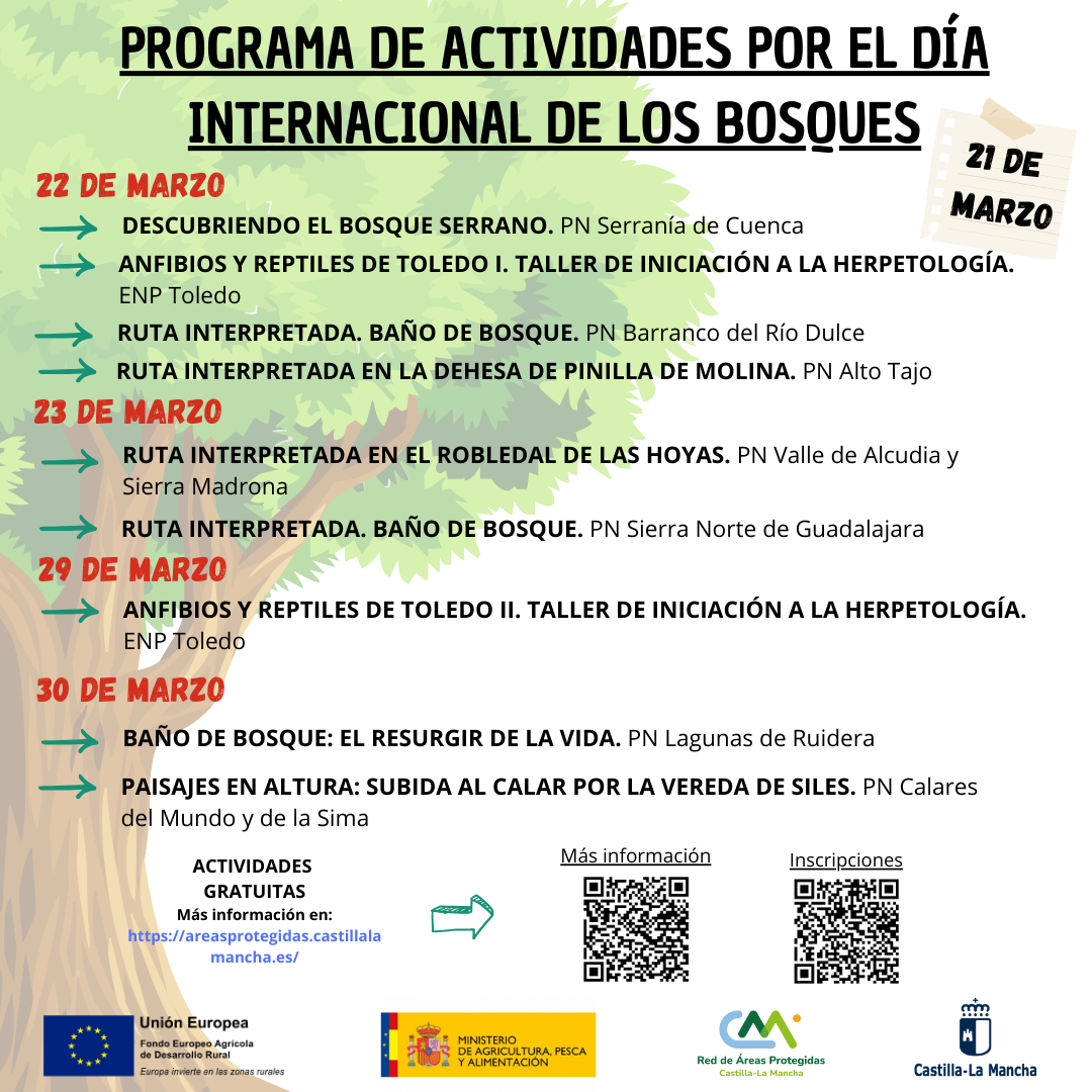 dia internacional de los bosques 3